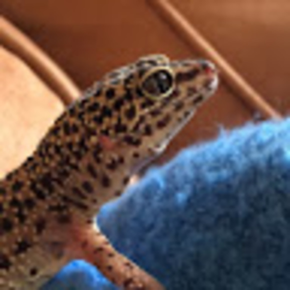 Meet your Posher, Annika - Picture 1 of 1